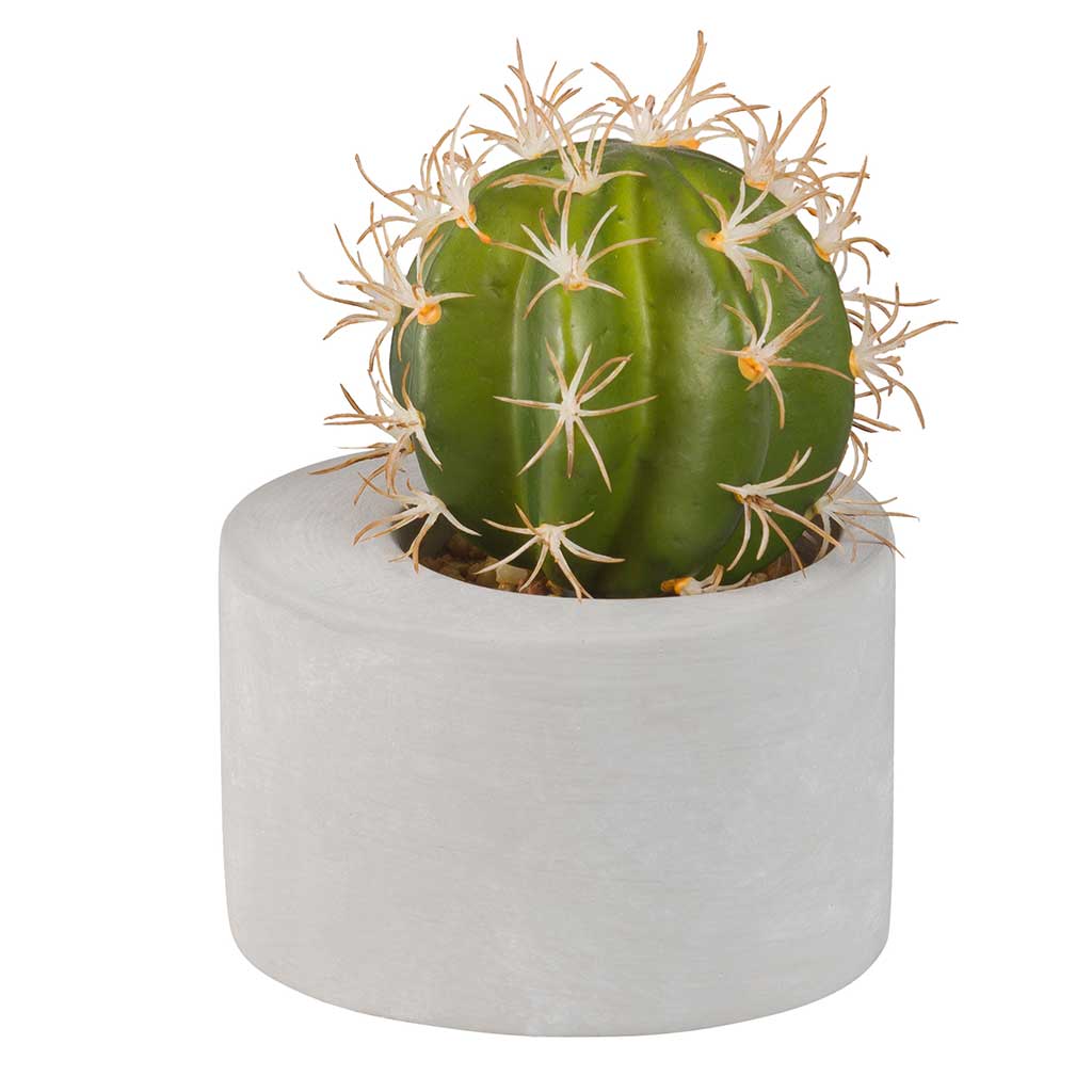 Decoración Zen. Cactus cemento Missons du Monde